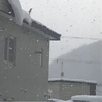furano-02