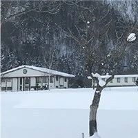 furano-20