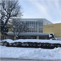 furano-31